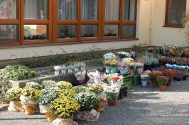 DSCN7588