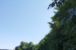 IMG-20230718-WA0015