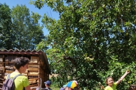 IMG-20230718-WA0076