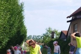 IMG-20230719-WA0073