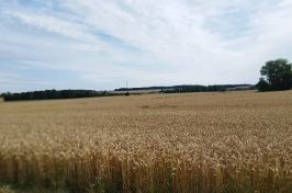 Tábor 1. týden 