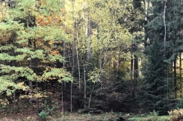 Výlety