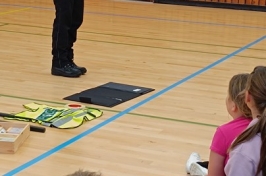 Policejní akce v ŠD