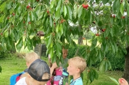 IMG_20250605_132421