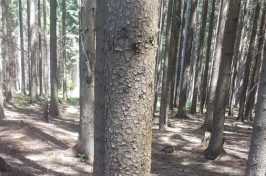 20190626_120647