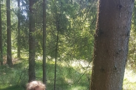 20190626_121028