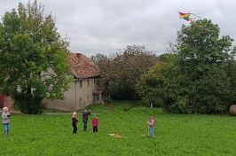 IMG_20241008_105447