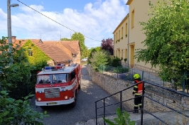 IMG_20250625_084648