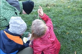 IMG_20241016_093900