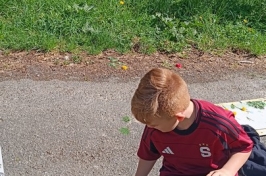 VV v přírodě 4. a 5. třída