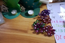 IMG-20241214-WA0015